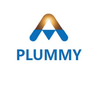 机械外贸网站建设，机械英文网站制作设计,SingaporePlummyOptoelectronicsCo.Pte.Ltd 